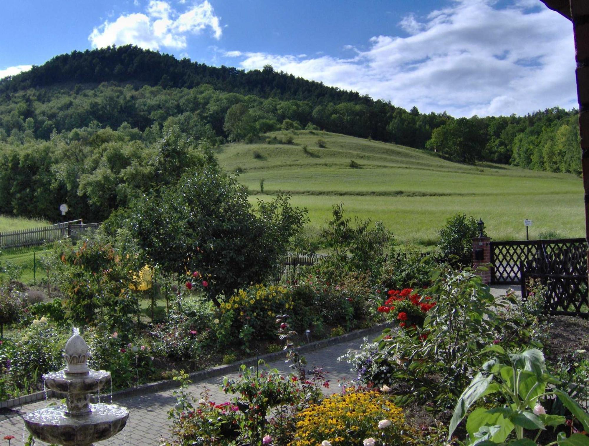 Hotel Haus Orchideental Єна Екстер'єр фото